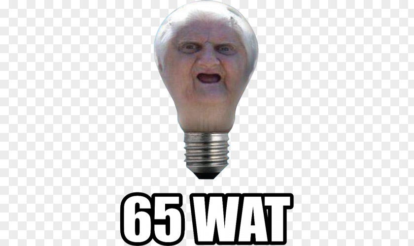 Internet Meme Celebrity Know Your PNG meme celebrity Meme, meme, 65 wat bulb clipart PNG