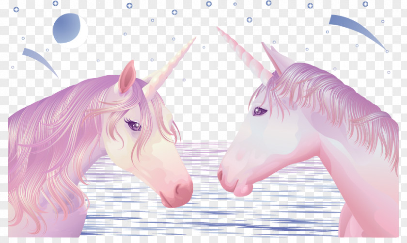 Vector Painted Unicorn Illustration PNG