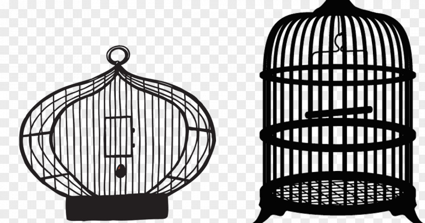 Cage Birdcage Domestic Canary Clip Art PNG