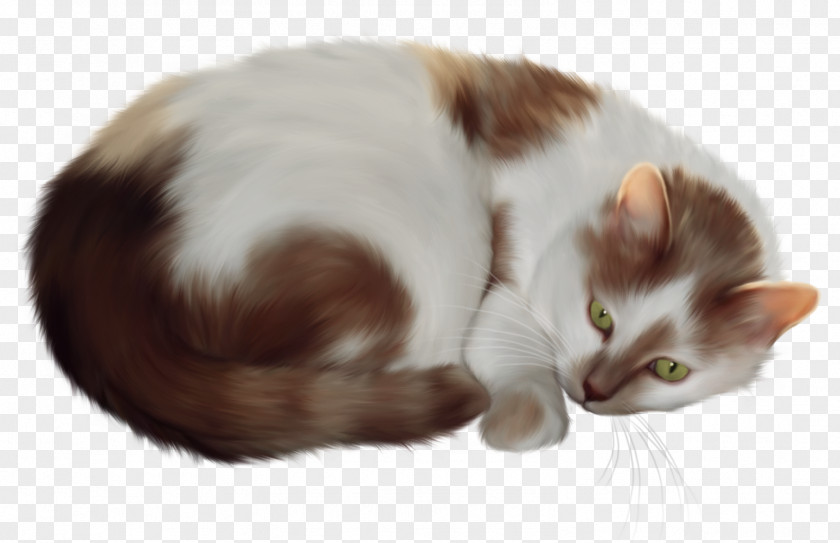 Cat Transparent Clipart Persian Kitten Clip Art PNG