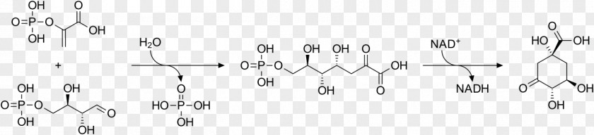 Cyclohexanecarboxylic Acid Shikimic Star Anise Shikimate Pathway Tannin Erythrose 4-phosphate PNG