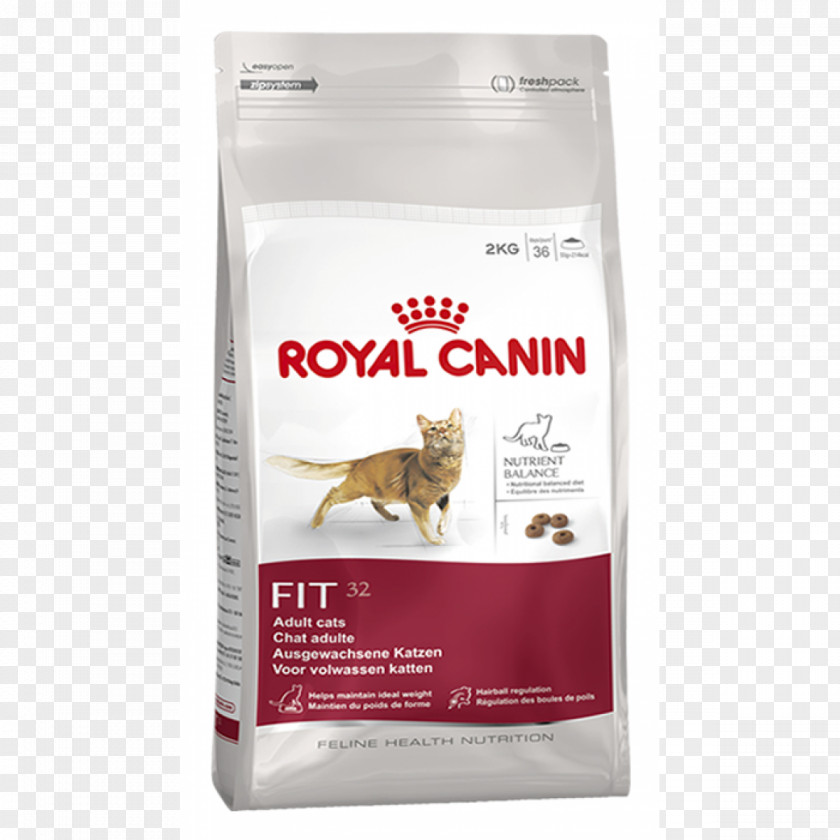 Dog Cat Food Persian Pet Royal Canin PNG