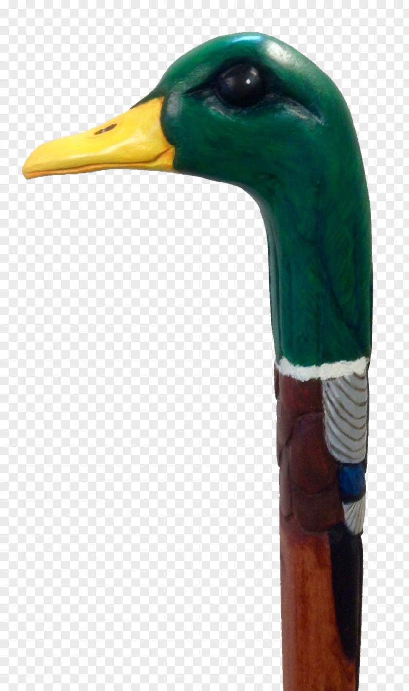 Goose Mallard Duck Cygnini Bird PNG