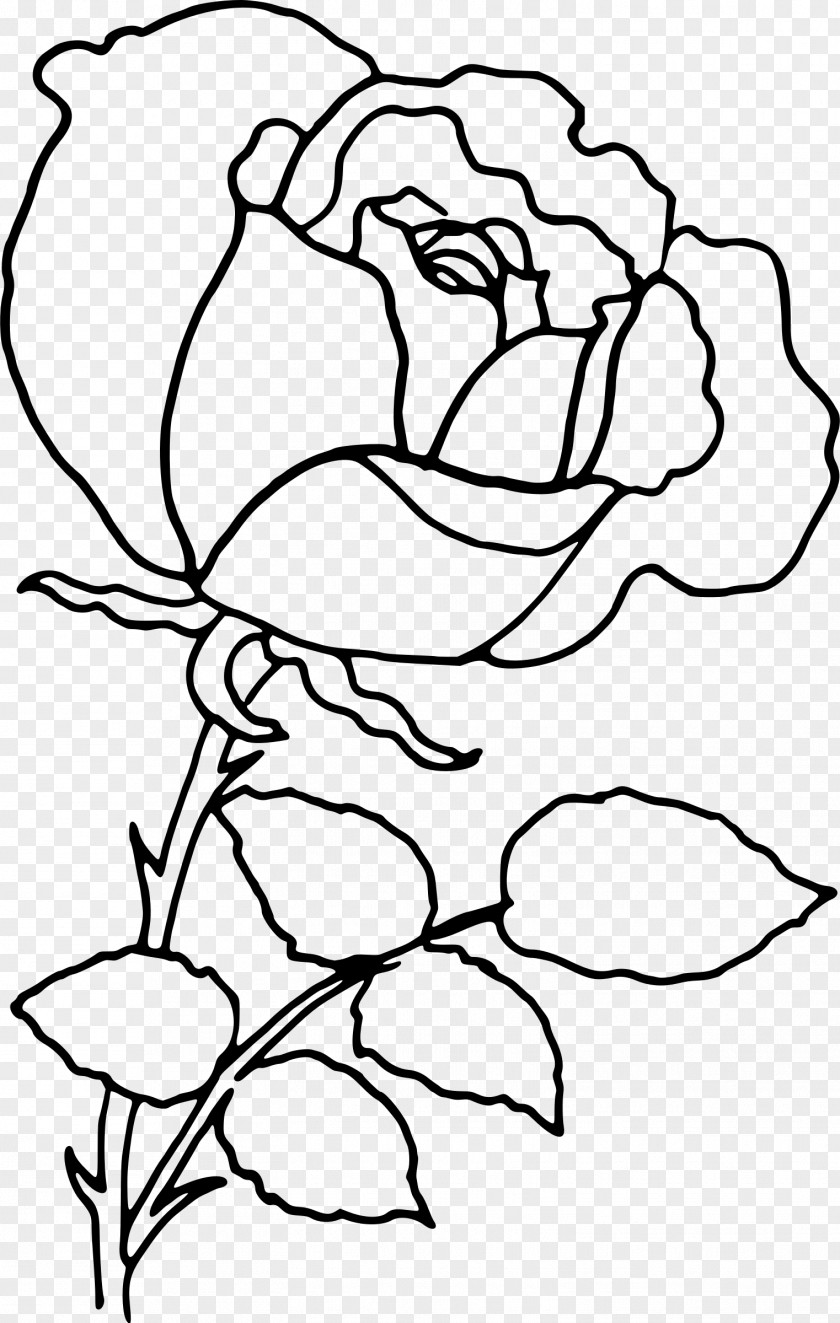 Line Drawing Rose Flower Clip Art PNG