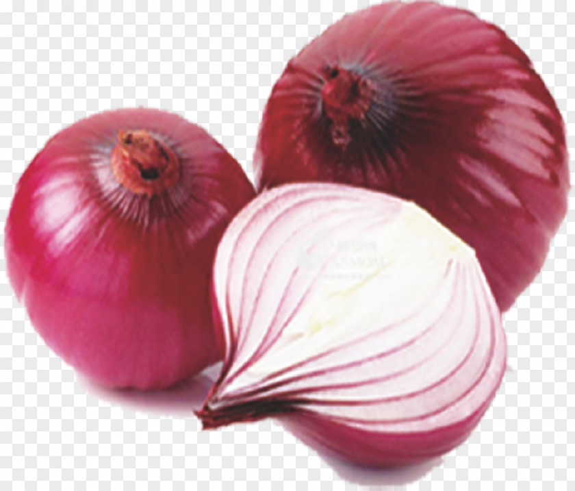 Onion French Soup Garlic Allium Fistulosum Organic Food PNG