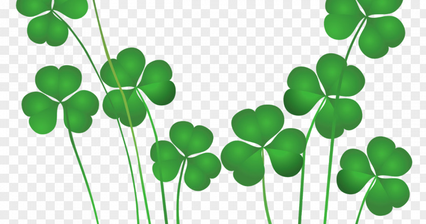 Saint Patrick's Day St. Shamrocks Ireland Clip Art PNG