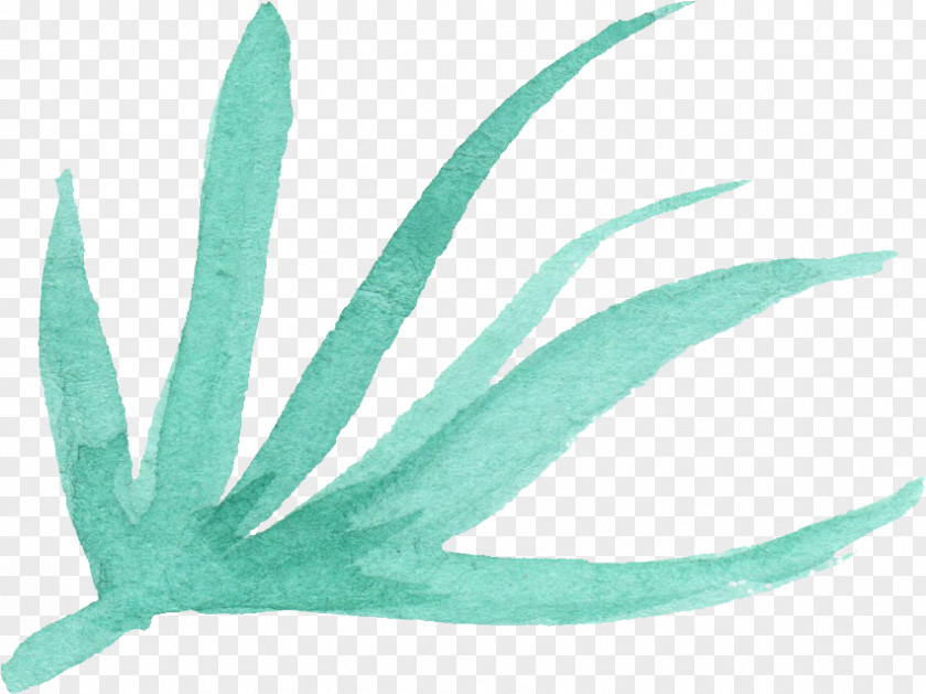 Watercolor Leaves Turquoise Leaf Teal Feather PNG