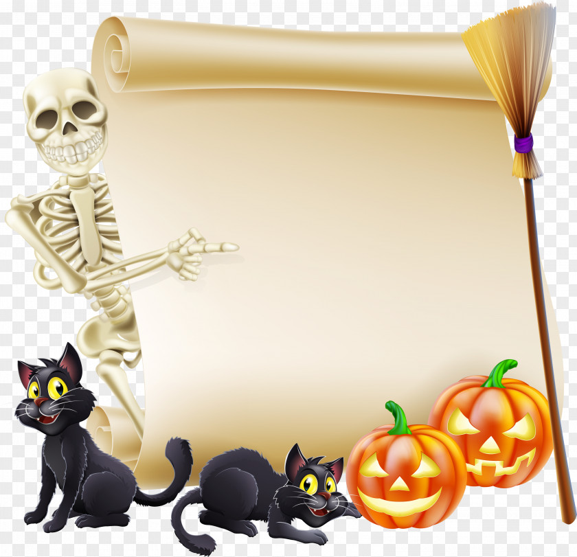 Witch Cat Halloween Stock Photography Clip Art PNG