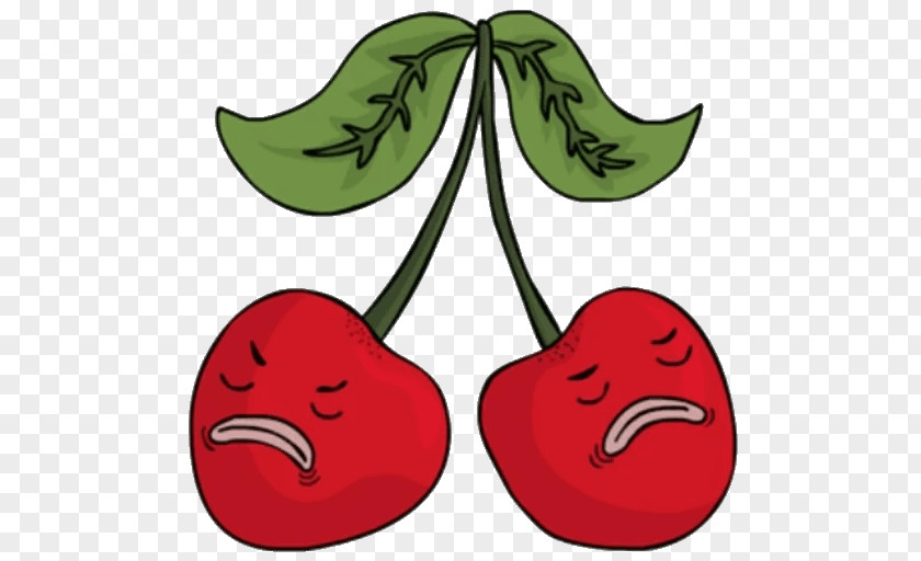 Apple Leaf Fruit Clip Art PNG