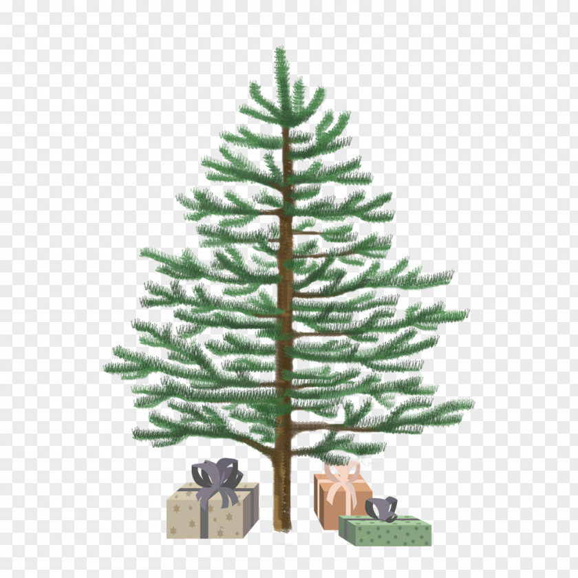 Christmas Tree Spruce Ornament Fir Pine PNG