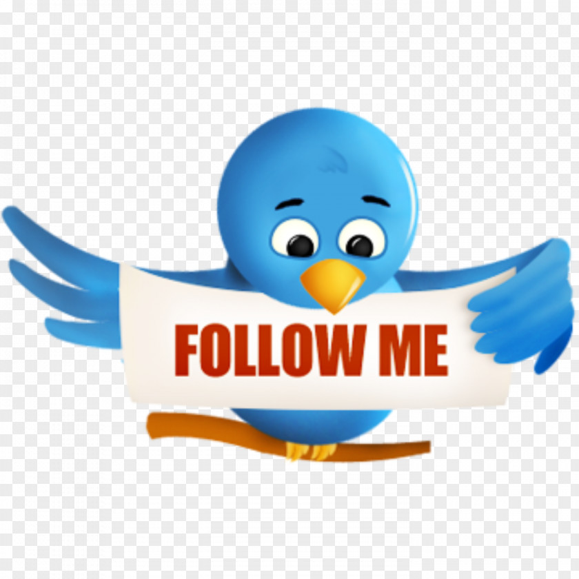 Follow Bird Social Media Networking Service Animal PNG