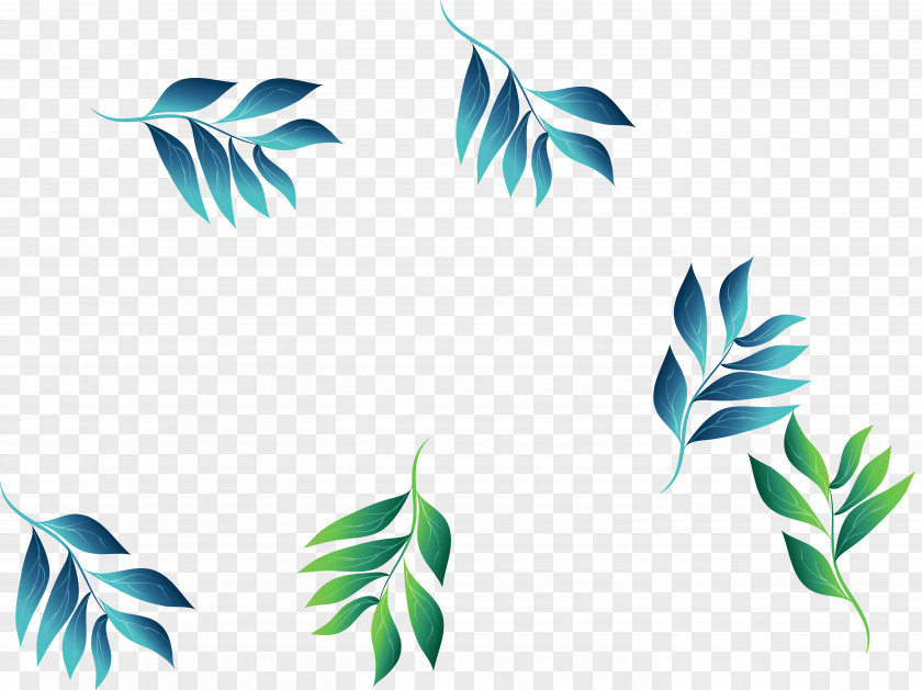 Leaf Green PNG