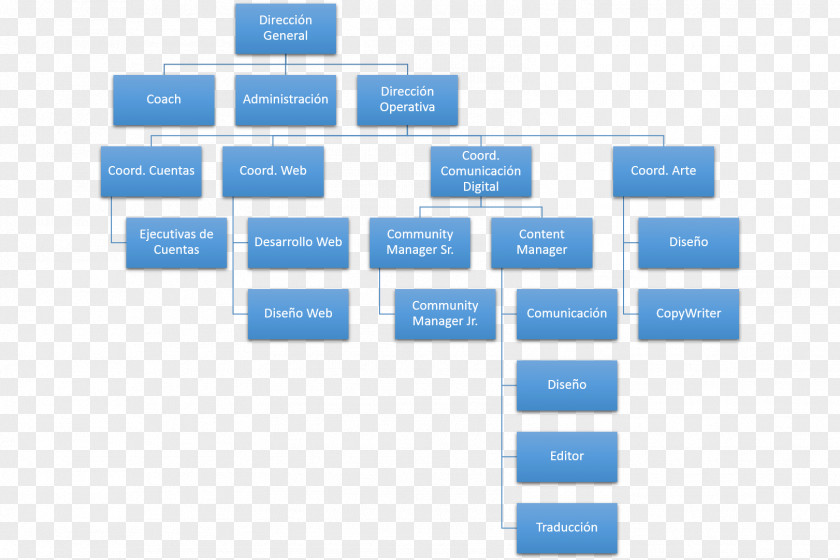 Marketing Organizational Structure Chart PNG