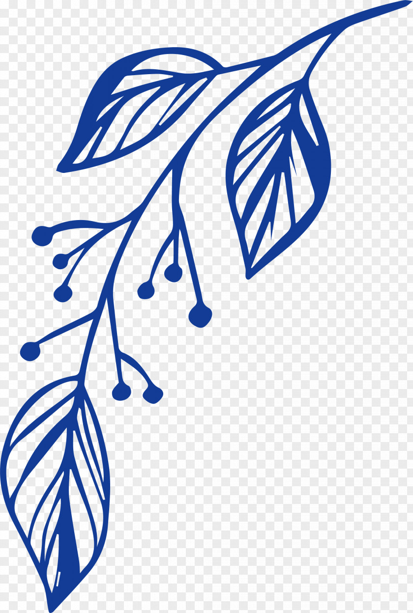 Simple Leaf Drawing Outline PNG