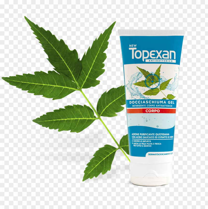 Aloe Barbadensis Leaf Extract Neem Tree Morril Fox Organic Powder 1 Lb. 100 Pure And Natural Raw Herb Super F Skin PNG
