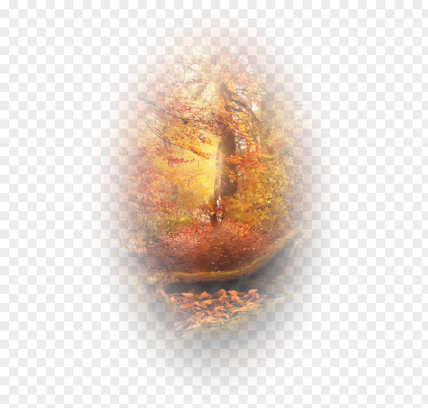 Autumn Desktop Wallpaper Landscape Clip Art PNG