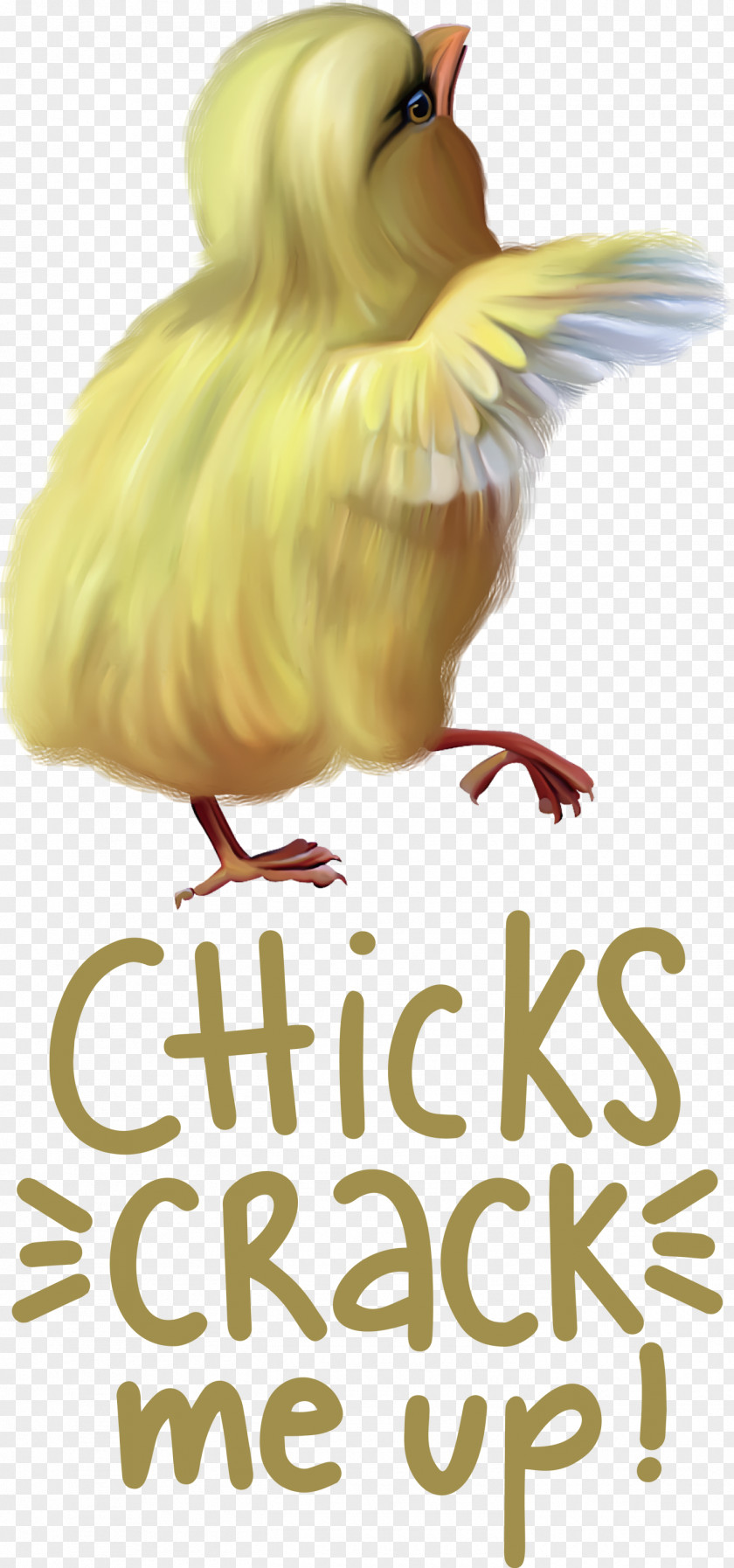 Chicks Crack Me Up Easter Day Happy PNG