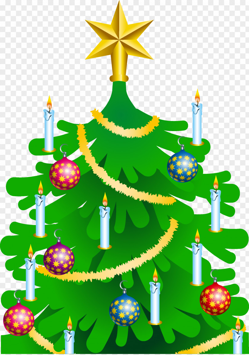 Christmas Tree Display Resolution PNG