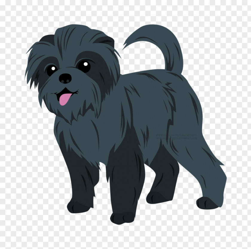 Fen Vector Affenpinscher Puppy Cairn Terrier Schnoodle Dog Breed PNG