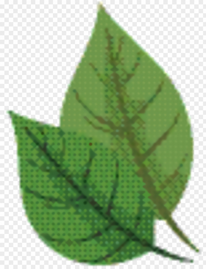 Plant Pathology Flower Green Leaf Background PNG