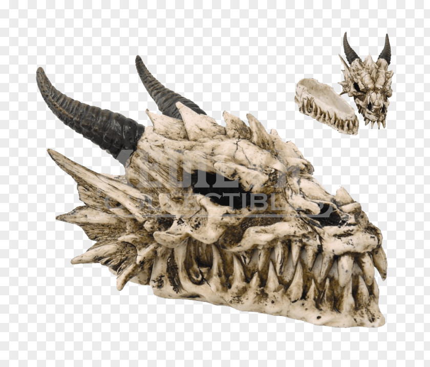 Skull Dragon Skeleton Fang Face PNG