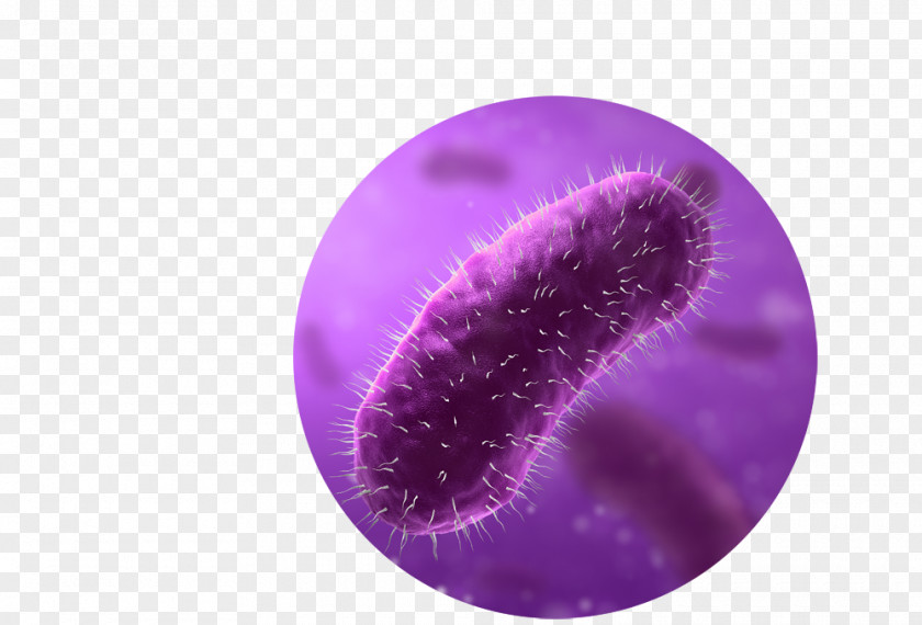Supermarket Trolleys E. Coli Bacteria Stock Photography PNG