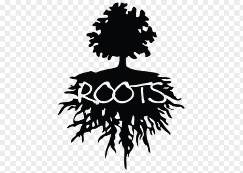 Tree Logo Wall Decal Root PNG