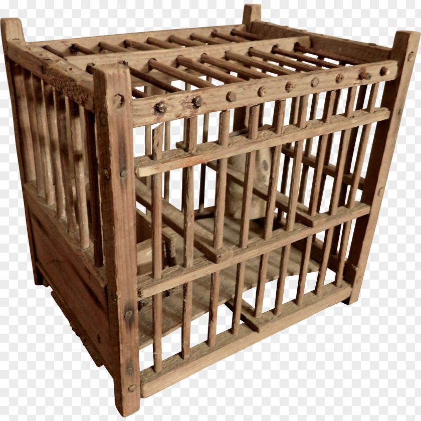 Bird Birdcage Domestic Canary Bed Frame PNG