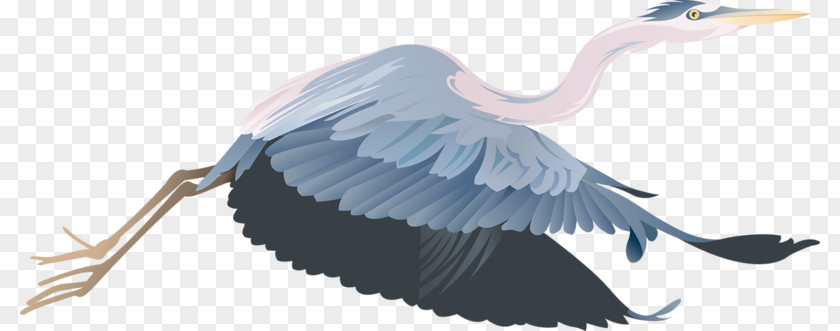 Cartoon Crane Bird Clip Art PNG