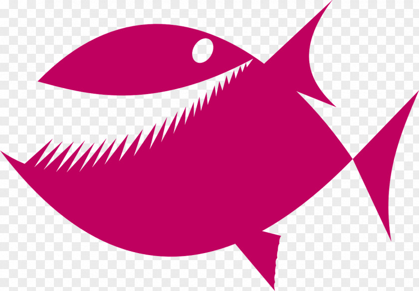 Pink Fish Piranha Drawing Clip Art PNG