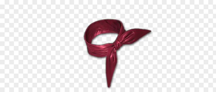 PlayerUnknown's Battlegrounds Scarf H1Z1 Kerchief Clothing Accessories PNG