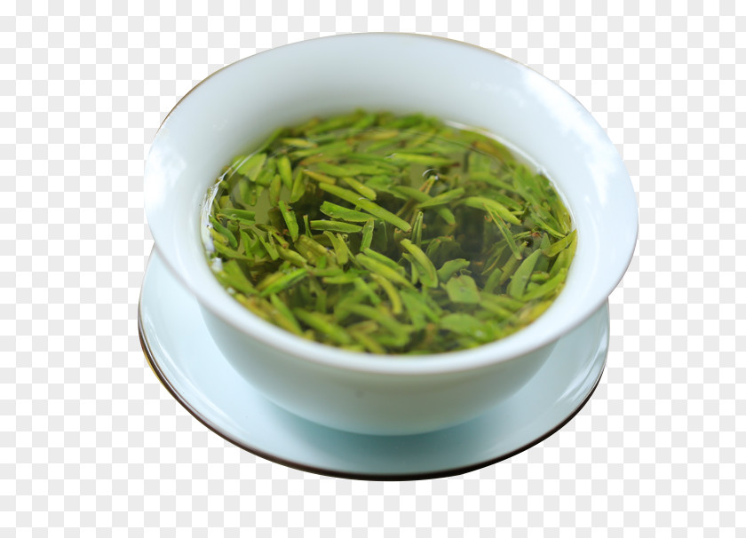 Queshe Tea Cup Xinyang Maojian Sencha Longjing Shincha PNG