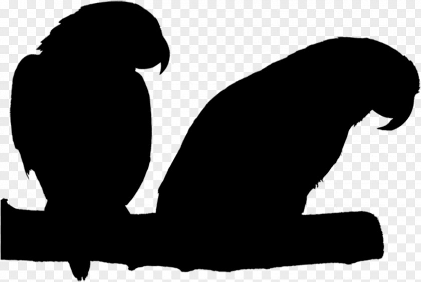 Beak Bird Clip Art Silhouette Pet PNG