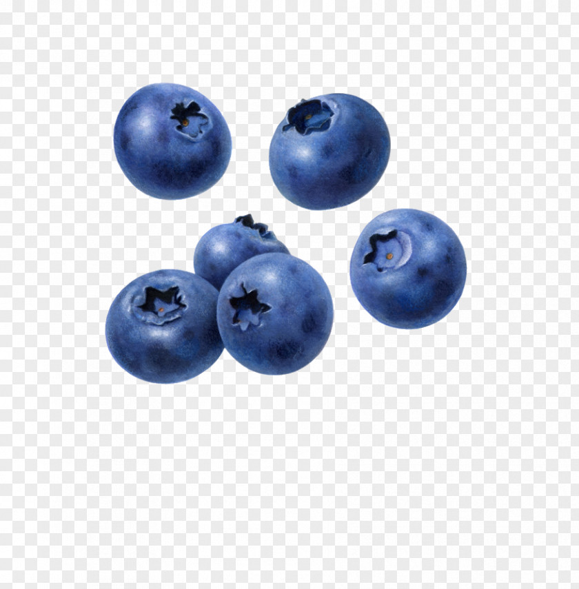 Blueberries Juice Blueberry Muffin Tart PNG