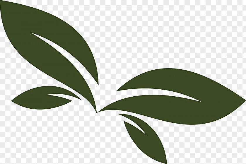 Flower Logo Leaf Green Plant PNG