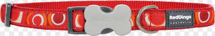 Red Collar Dog Dingo PNG