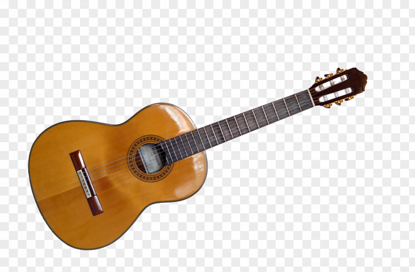 Video Steel-string Acoustic Guitar Musical Instruments Classical Tanglewood Guitars PNG