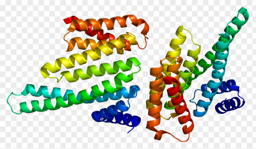 14-3-3 Protein YWHAB Ribosomal S6 Kinase Nucleosome PNG