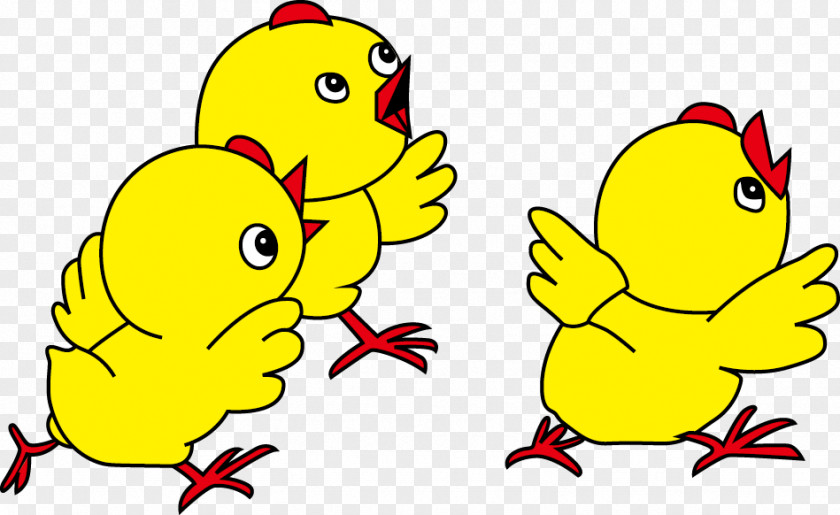 Chick Chicken Duck Clip Art PNG