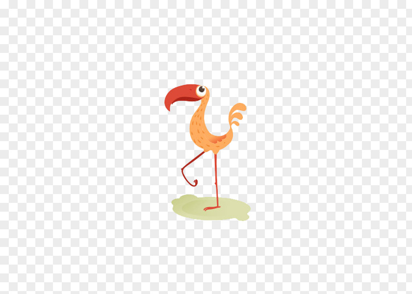 Flamingos Bird PNG