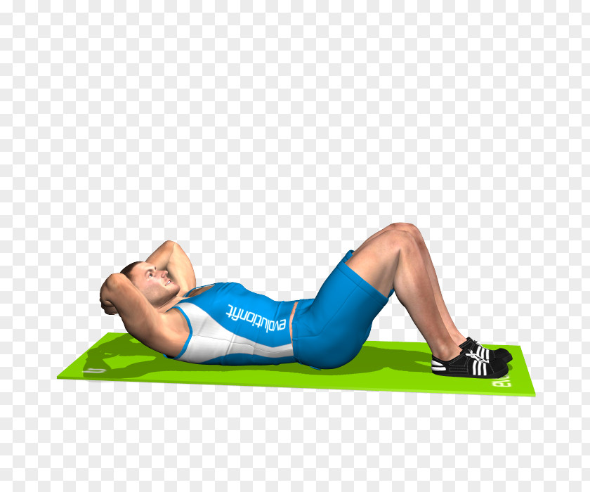 Dumbbell Crunch Abdomen Sit-up Exercise Muscle PNG