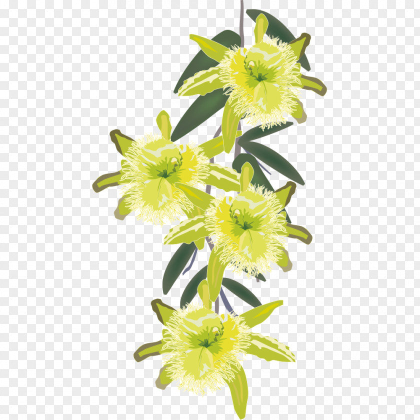 Hand Painted Plants Cut Flowers Euclidean Vector Illustration PNG