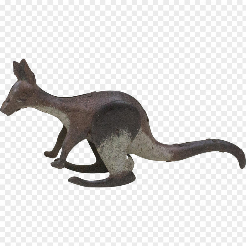 Kangaroo Macropodidae Cat Marsupial Mammal PNG