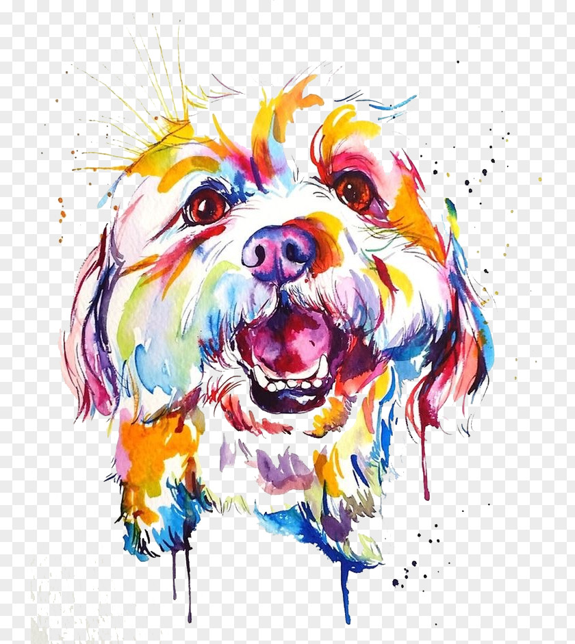 Painting Dog Breed Watercolor Border Collie Shih Tzu PNG