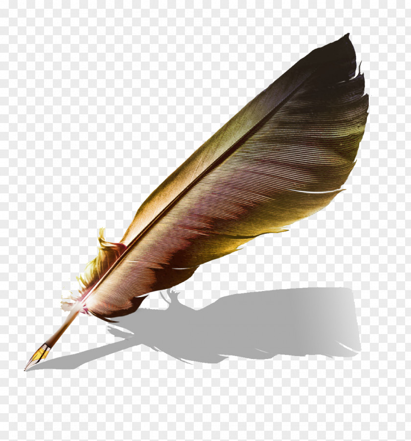 Feather Brush Paper Quill Pen Book PNG