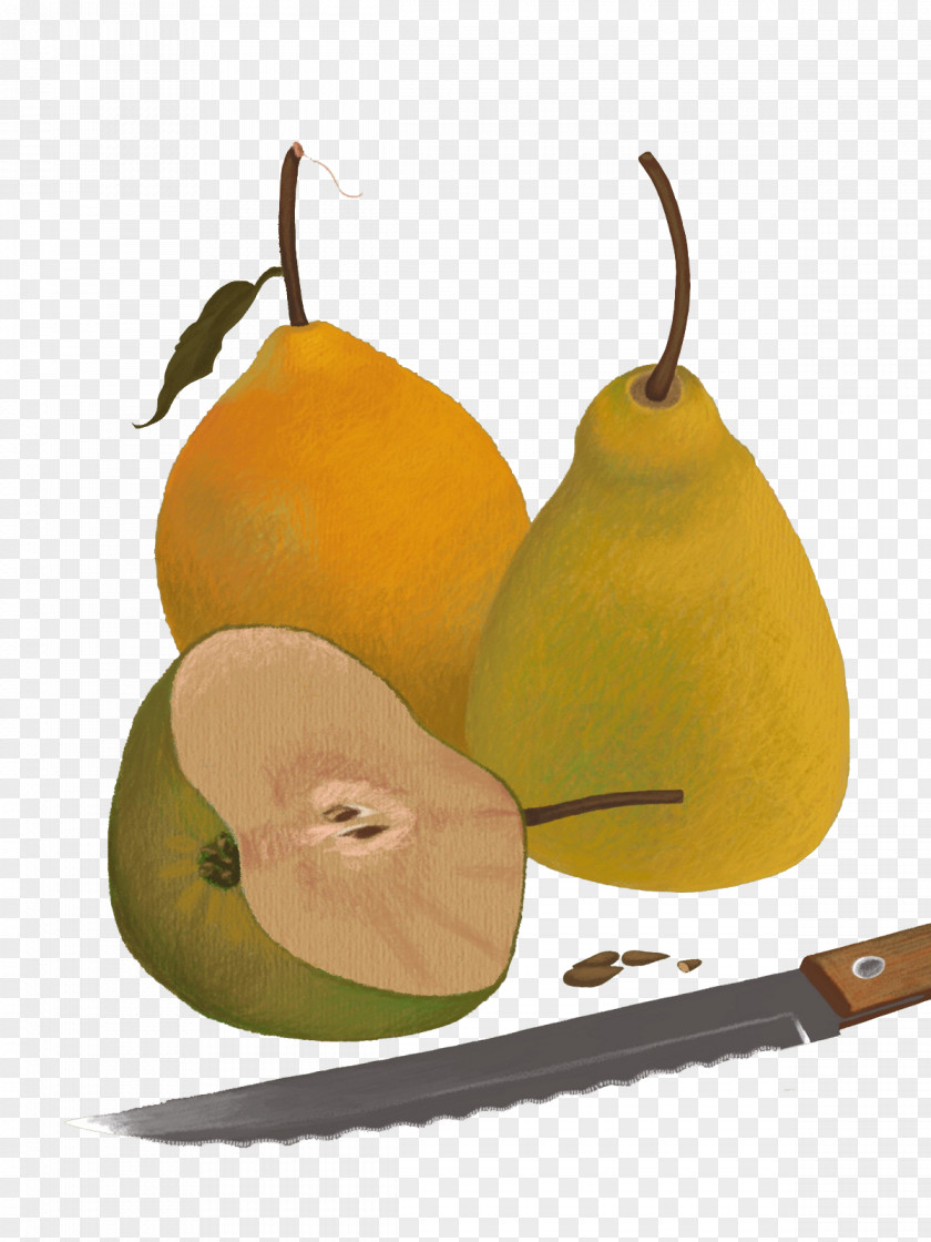 Hand-painted Pears Pyrus Nivalis Evil Fruit PNG