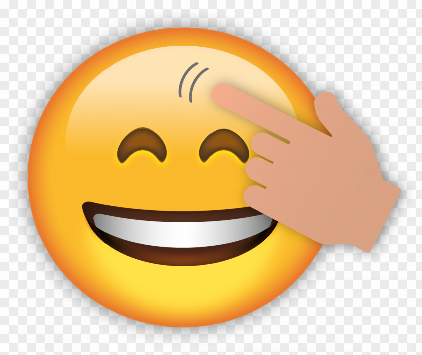 Smiley Image Macro Emoticon Emoji PNG