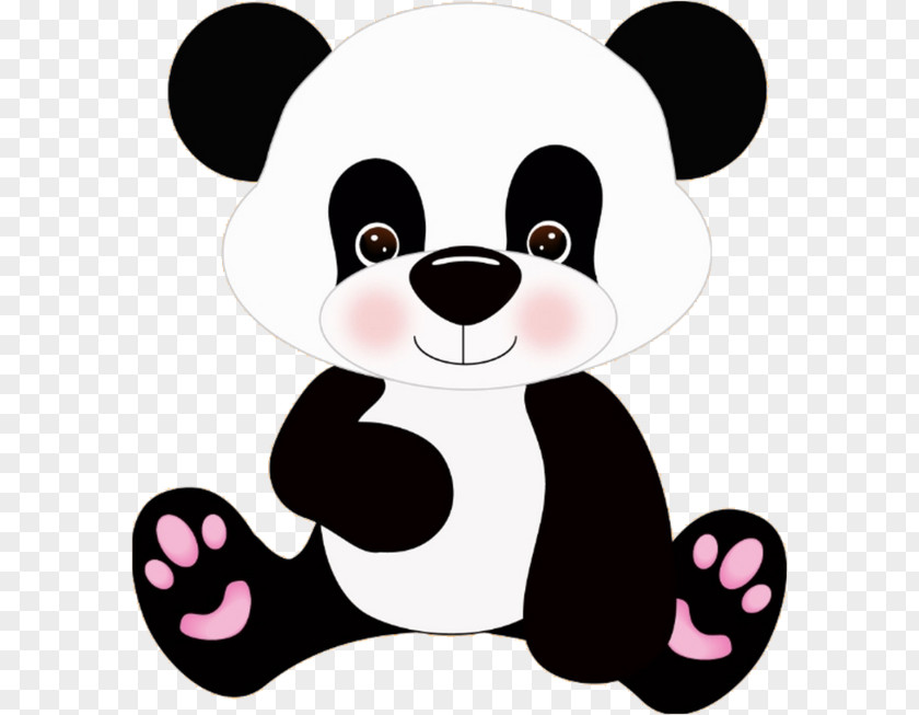 Bear Giant Panda Red Koala Clip Art PNG