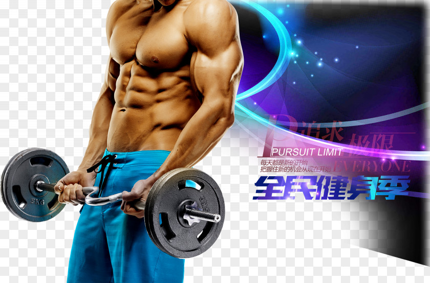 Fitness Posters Physical Exercise Biceps Curl Dumbbell Barbell PNG