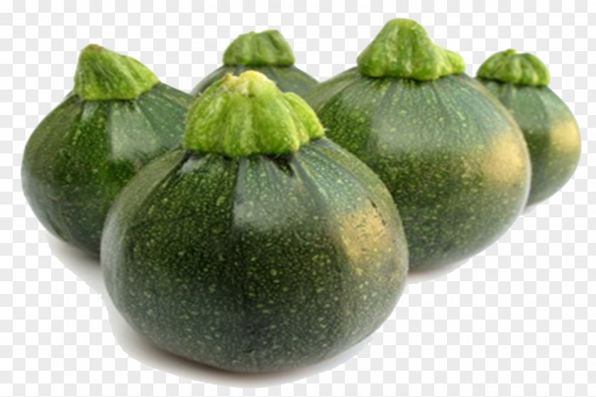 Gourd Common Fig Summer Natural PNG